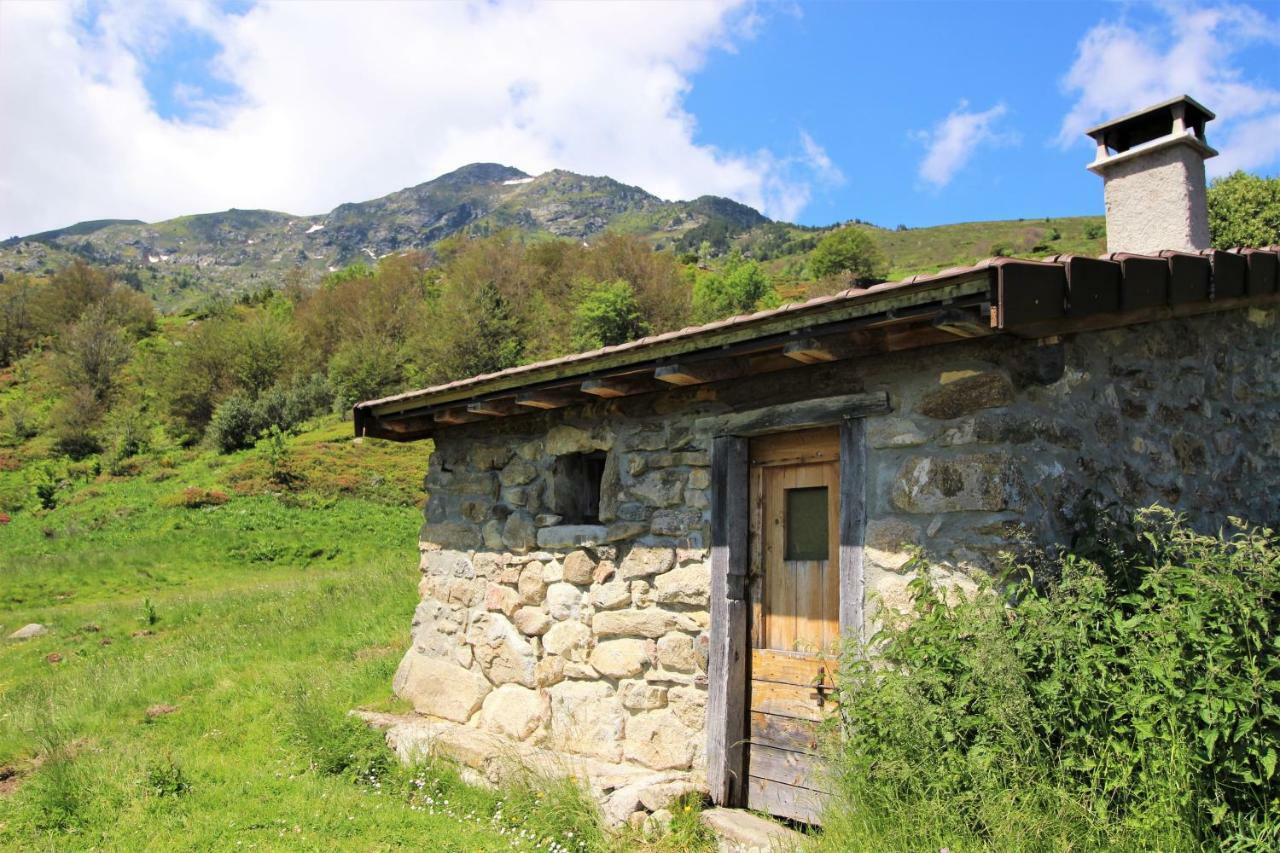 Toupinat Villa Montferrier Екстериор снимка