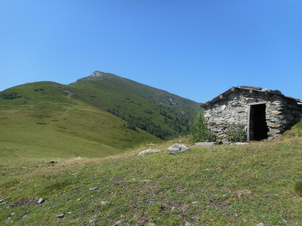 Toupinat Villa Montferrier Екстериор снимка